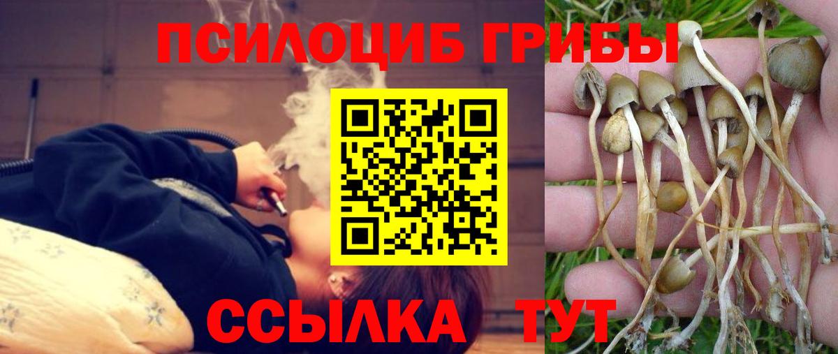 Лесной  Псилоцибиновые грибы мицелий  Вход с VPN 